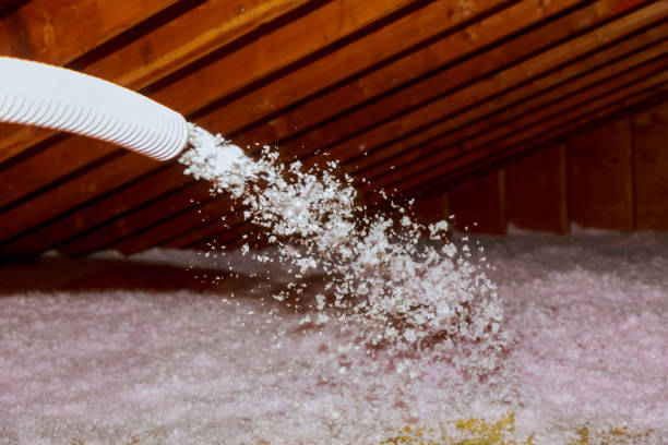 Best Commercial Insulation Contractor  in Privateer, SC
