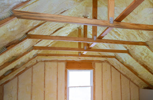 Best Insulation Contractor Near Me  in Privateer, SC