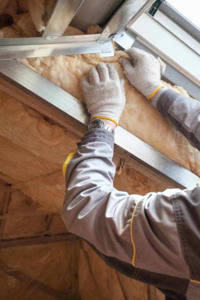 Best Fiberglass Insulation  in Privateer, SC
