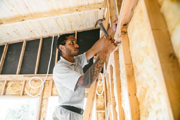 Best Fiberglass Insulation  in Privateer, SC