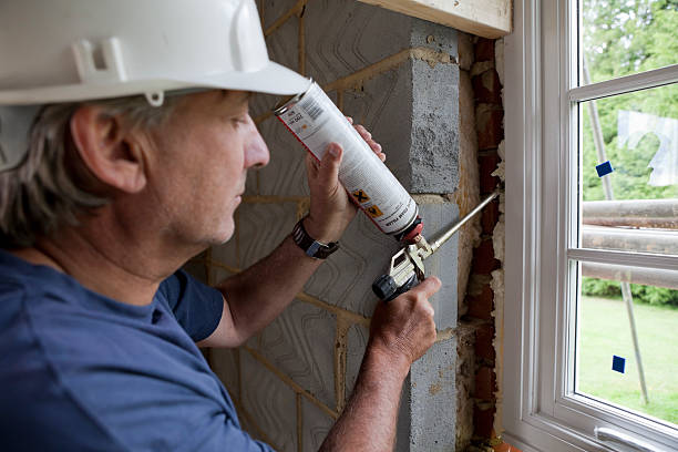 Best Professional Insulation Contractor  in Privateer, SC