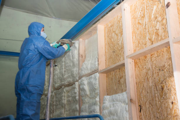 Best Insulation Removal Services  in Privateer, SC